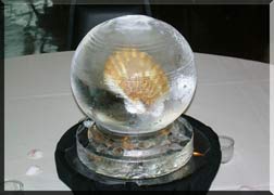 Shell Globe