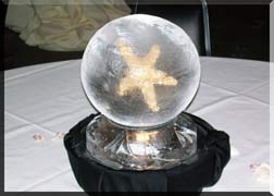 Starfish Globe