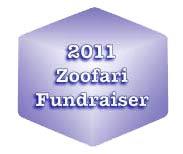 Ice Visions Places at the Zoofari Fundraiser