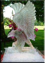 Eagle