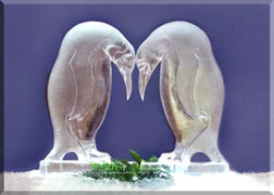 Double Block - Emperor Penguins
